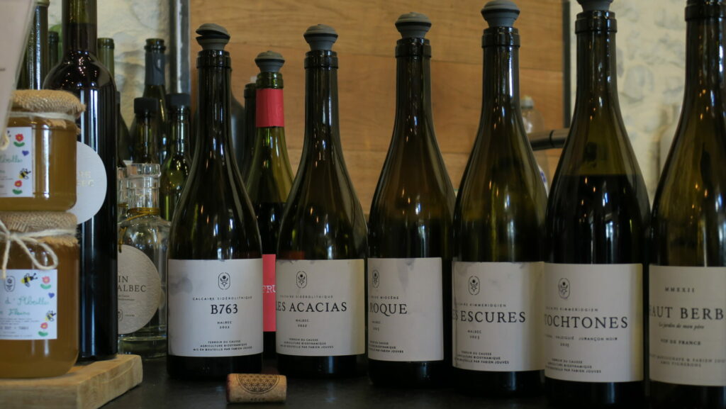 Dégustation vins