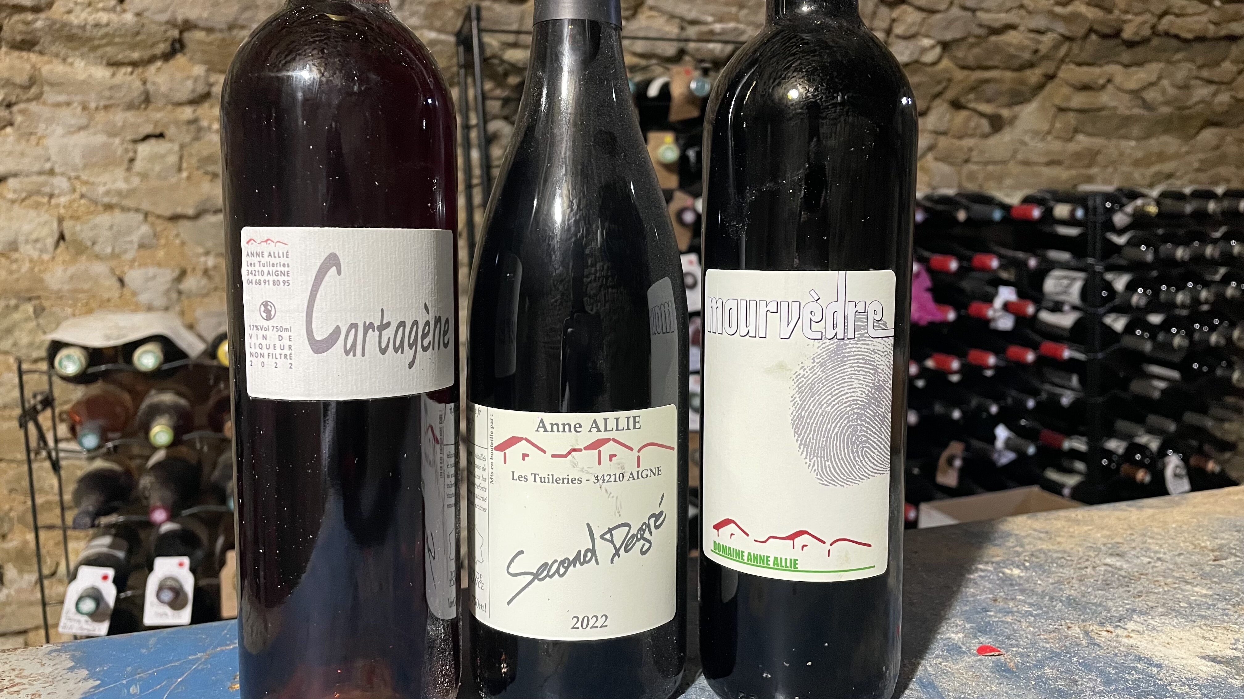 Domaine Anne Allié à Aigne